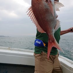 だて丸 釣果