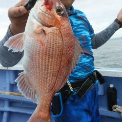 新幸丸 釣果