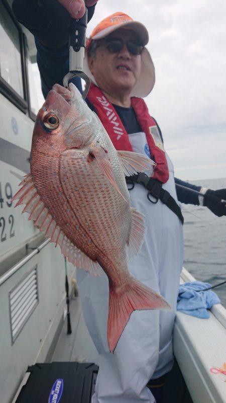 だて丸 釣果