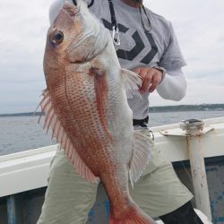 だて丸 釣果