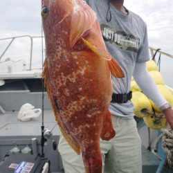 だて丸 釣果