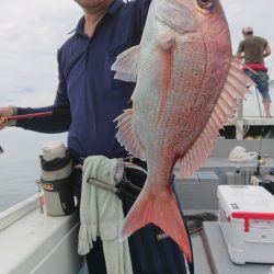 だて丸 釣果