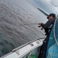 チャモロ 釣果