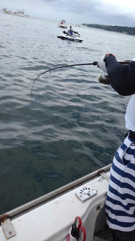 チャモロ 釣果