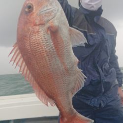 だて丸 釣果