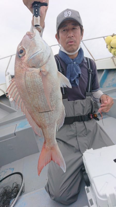 だて丸 釣果