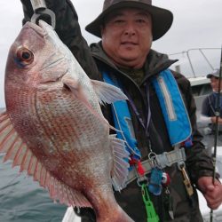 だて丸 釣果