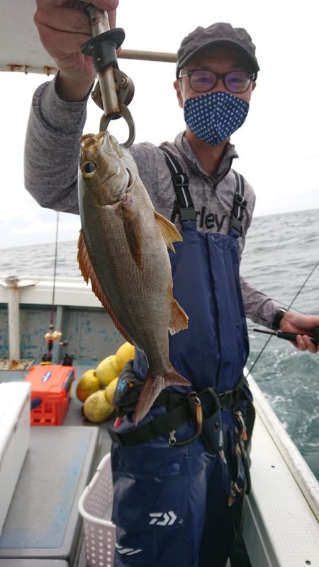 だて丸 釣果