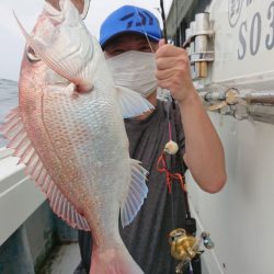 だて丸 釣果