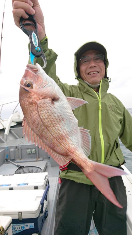 だて丸 釣果