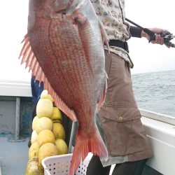 だて丸 釣果