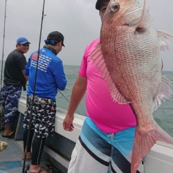 だて丸 釣果