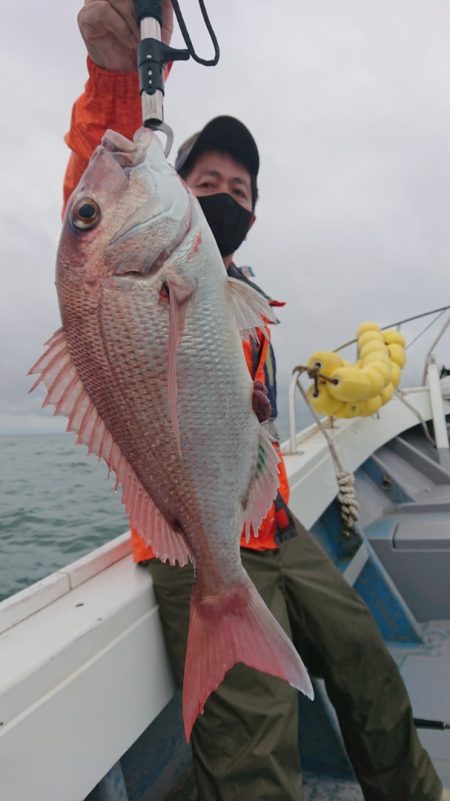 だて丸 釣果