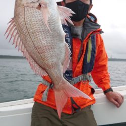 だて丸 釣果