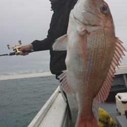 だて丸 釣果