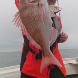 だて丸 釣果