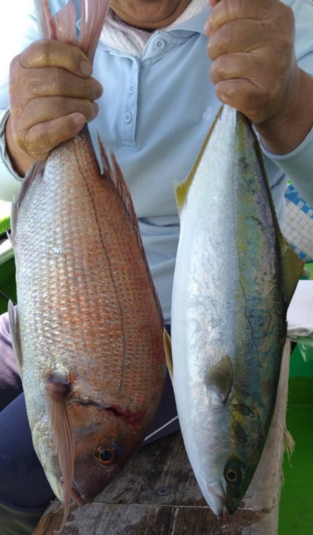 小島丸 釣果