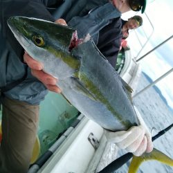 小島丸 釣果