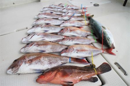 KIM Fishing Guide Service 釣果