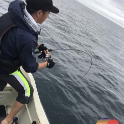 幕島丸 釣果