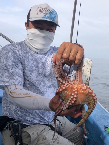 ヤザワ渡船 釣果