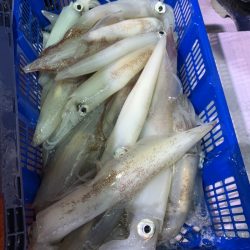 海龍丸（石川） 釣果