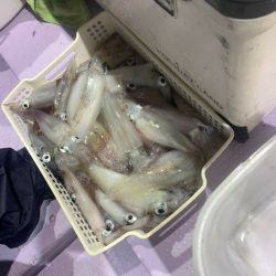 海龍丸（石川） 釣果