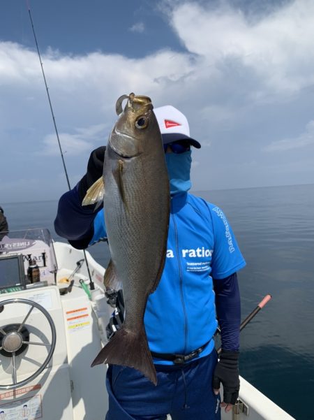 きずなまりん 釣果