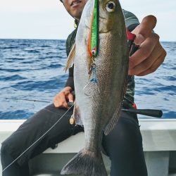 光生丸 釣果