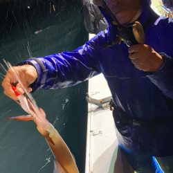 海龍丸（石川） 釣果