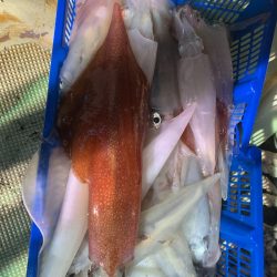 海龍丸（石川） 釣果