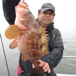 ありもと丸 釣果