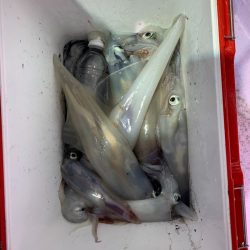 海龍丸（石川） 釣果