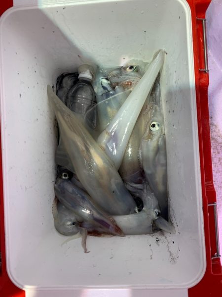 海龍丸（石川） 釣果