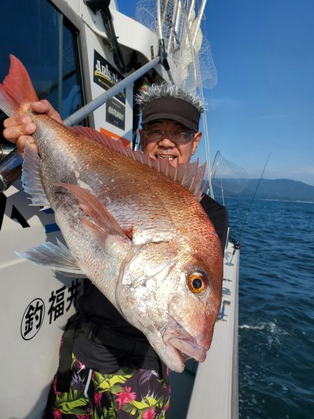 シーライオン 釣果