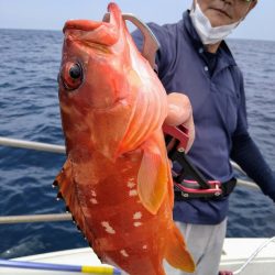 光生丸 釣果