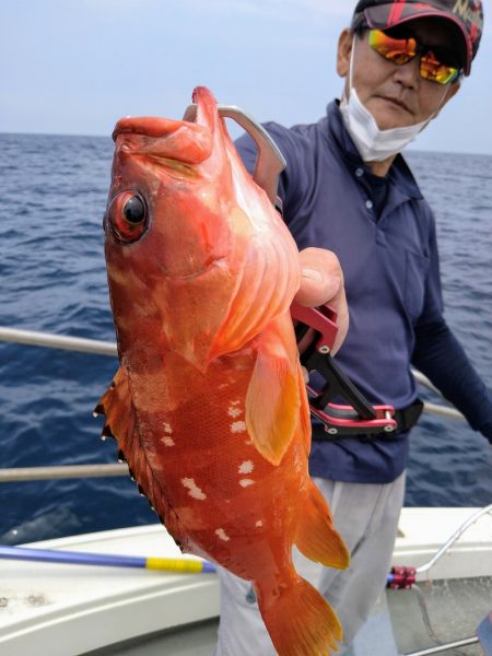 光生丸 釣果