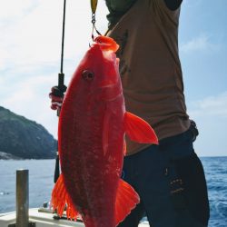 光生丸 釣果