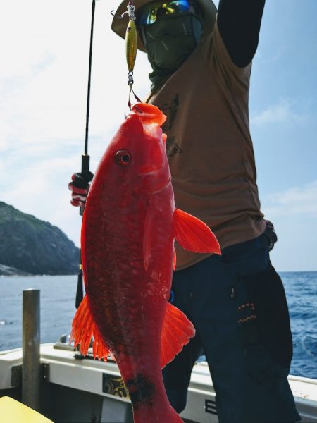 光生丸 釣果