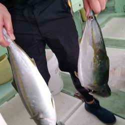 小島丸 釣果