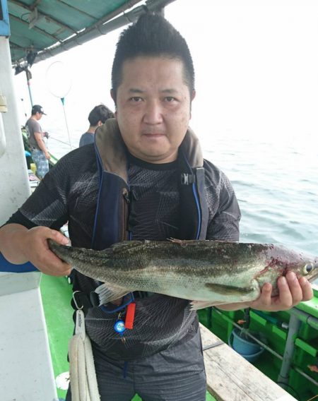 小島丸 釣果