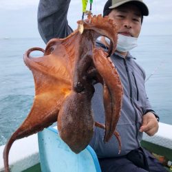 ヤザワ渡船 釣果