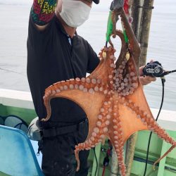 ヤザワ渡船 釣果