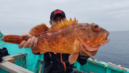 進誠丸 釣果