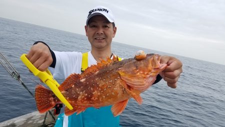 進誠丸 釣果