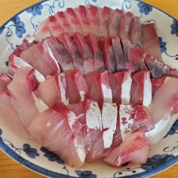 釣人家 釣果