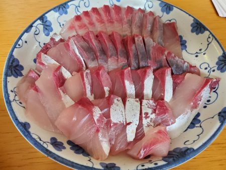 釣人家 釣果