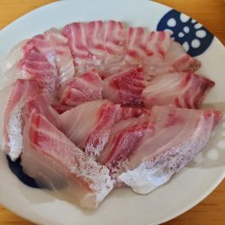 釣人家 釣果