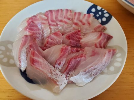 釣人家 釣果