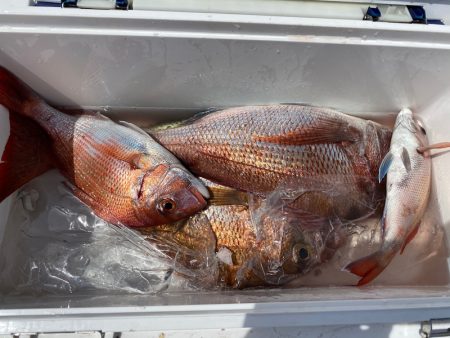 ぽん助丸 釣果